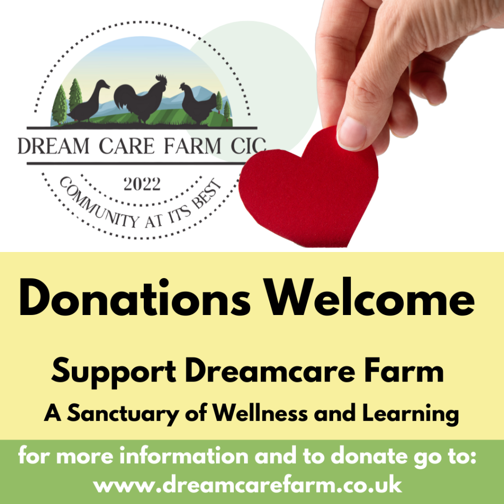 dreamcare farm donations